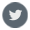tweets-icon